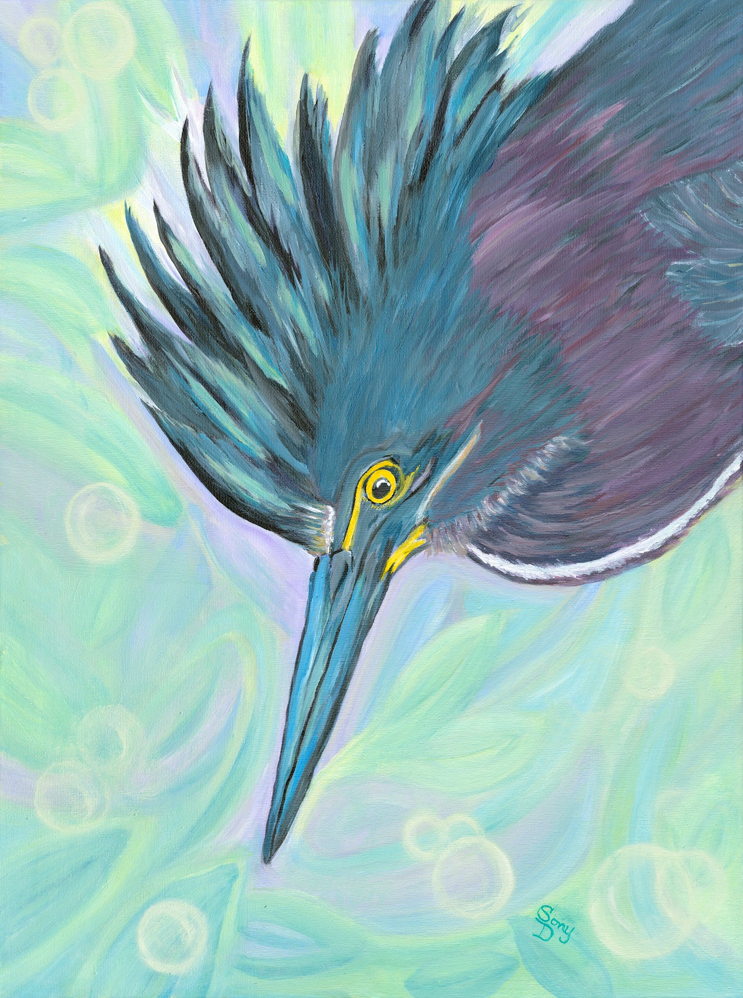 Dive In — tricolored heron diving beak-first into swirling water